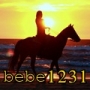 bebe1231