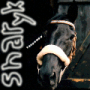 sharyk