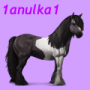 1anulka1