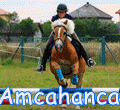 Amcahanca
