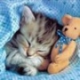 eliska987654321