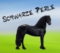 Schwarze