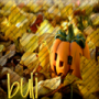 buli